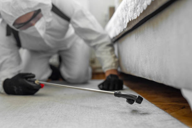 Professional Termite Control technician working in Mineola, TX