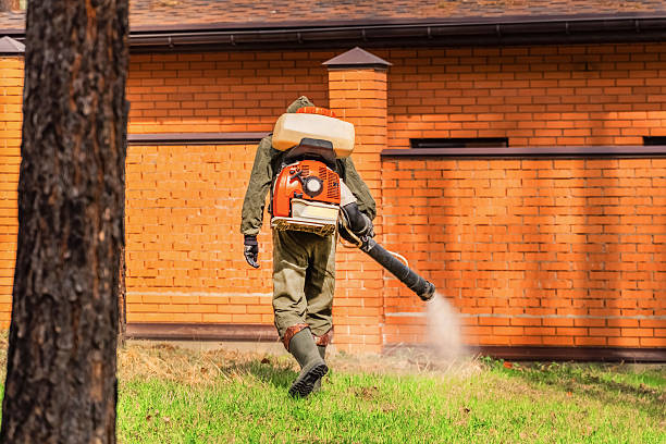 Trusted Bed Bug Control service in Mineola, TX - Nex Pest Control